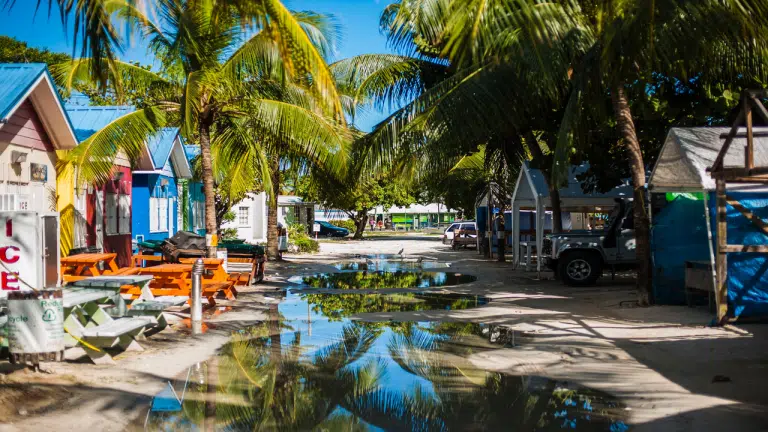 a street in barbados with palm trees and colorful houses