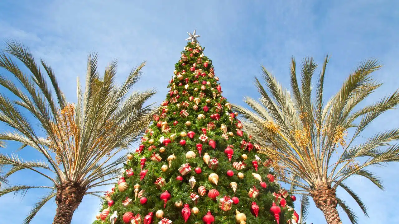 Celebrating-Christmas-In-Hawaii