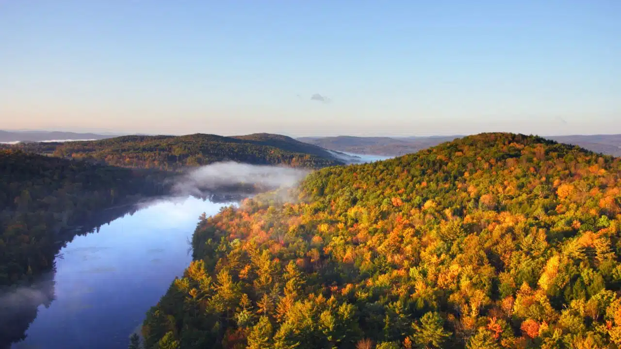 Autumn-Forest-Lake-Aerial-View