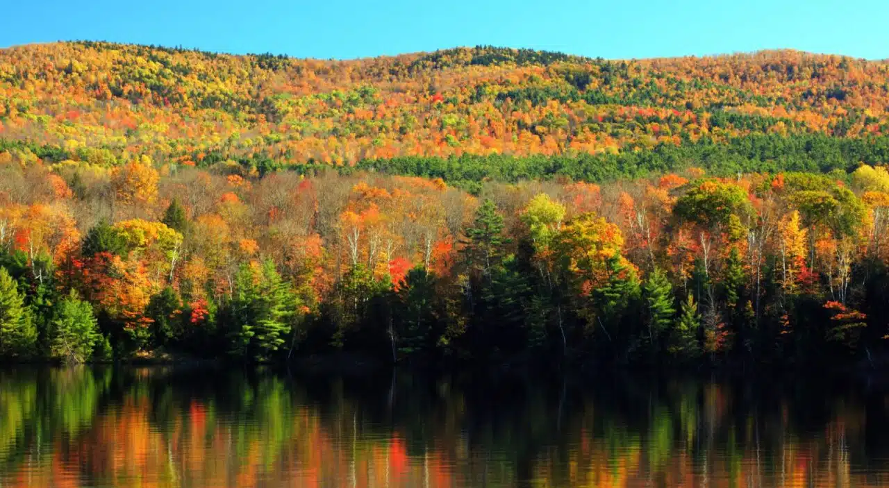 fall foliage reflected in the connecticut river in vermont 